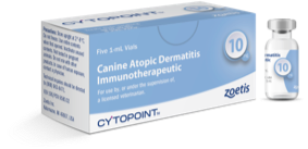 canine-dermatitis